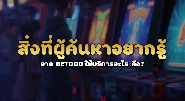 betdog ให้บริการอะไร
