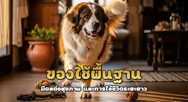 ของใช้จำเป็น มาสติฟฟ์ปิเรเนียน