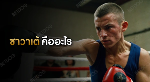 ซาวาเต้ คืออะไร