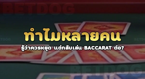 บาคาร่า แพ้ติดกันกี่ครั้ง ควรหยุด