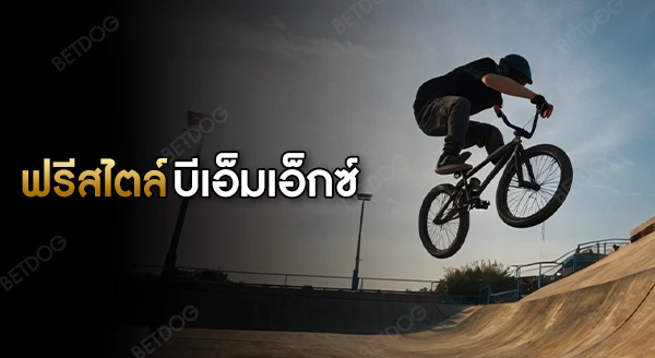 ฟรีสไตล์ บีเอ็มเอ็กซ์