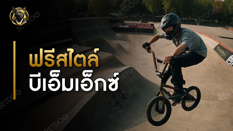 ฟรีสไตล์ บีเอ็มเอ็กซ์