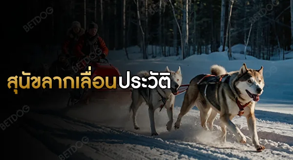 สุนัขลากเลื่อน ประวัติ