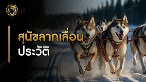 สุนัขลากเลื่อน ประวัติ