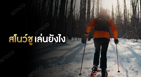 สโนว์ชู เล่นยังไง