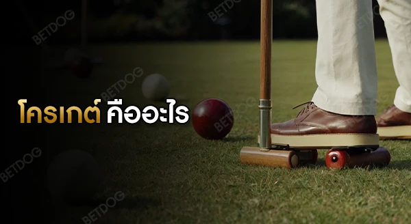 โครเกต์ คืออะไร