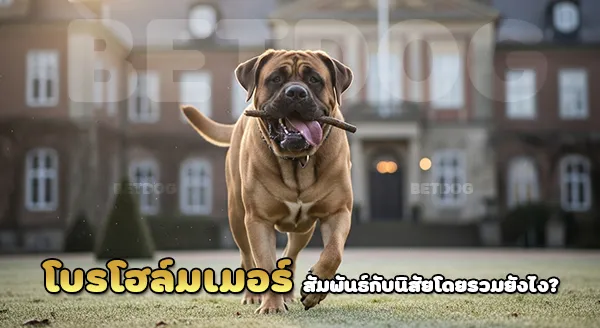 โบรโฮล์มเมอร์ บทบาทเฝ้าบ้าน