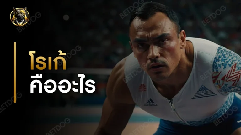 โรเก้ คืออะไร