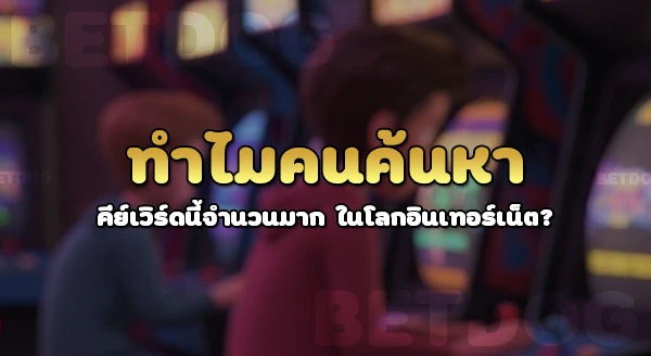 betdog มีการเดิมพันคาสิโนไหม