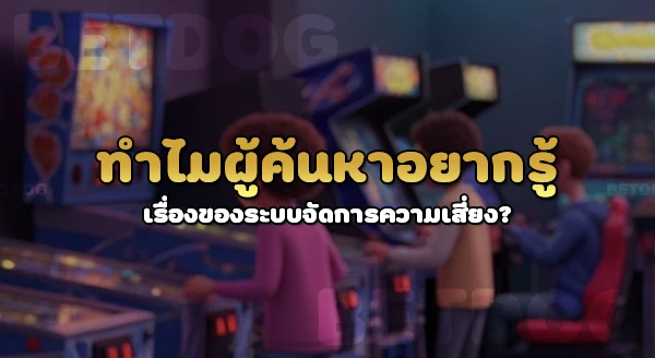 betdog มีระบบช่วยจัดการความเสี่ยงไหม