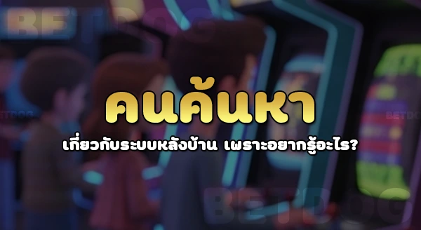 betdog ระบบหลังบ้านดีไหม