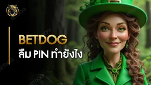 betdog ลืม PIN ทำยังไง