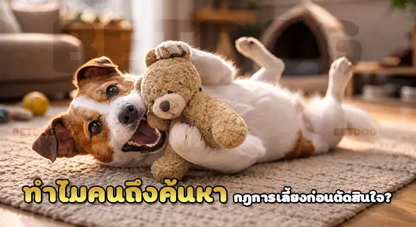 กฎการเลี้ยง แจ็ค รัสเซลล์