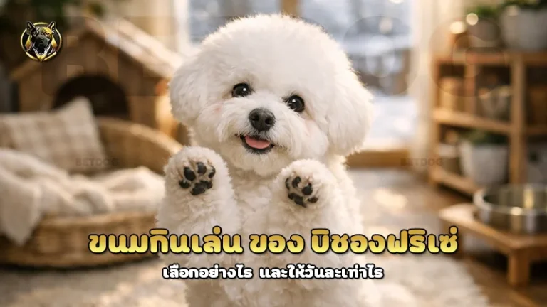 ขนมกินเล่น ของ บิชองฟริเซ่