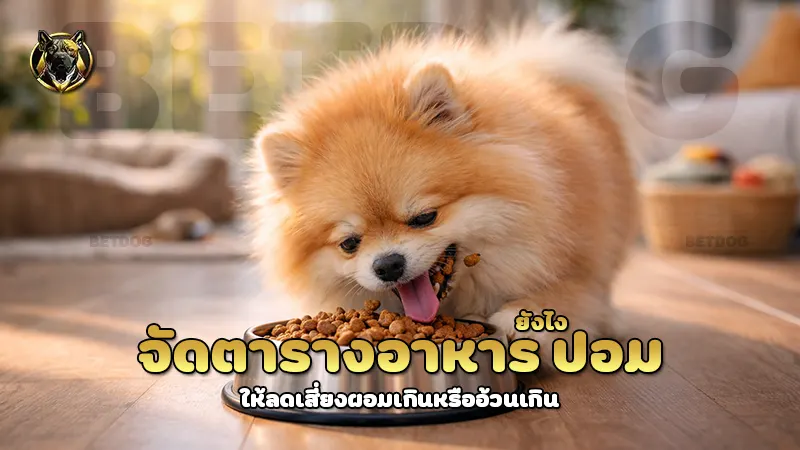 จัดตารางอาหาร ปอม ยังไง