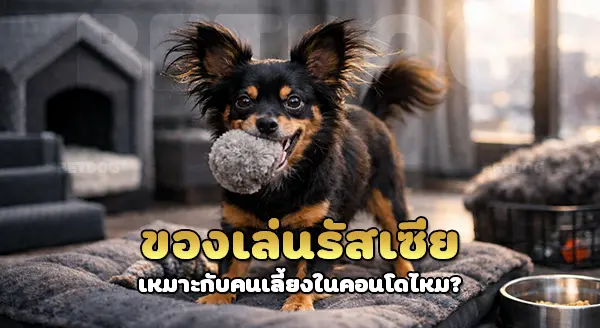 ทำไม ชื่อว่า ของเล่นรัสเซีย