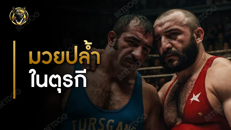 มวยปล้ำในตุรกี เป็นยังไง