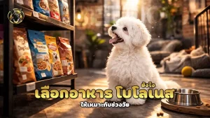 เลือกอาหาร โบโลเนส ยังไง