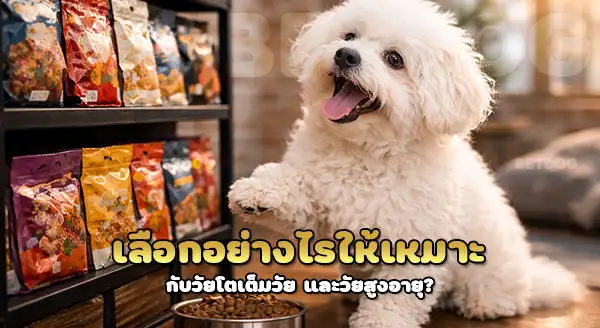 เลือกอาหาร โบโลเนส ยังไง