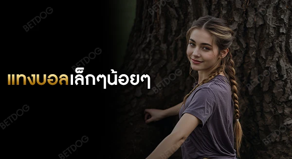 แทงบอลเล็กๆน้อยๆ ถือว่าเสี่ยงไหม
