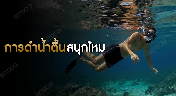 การดำน้ำตื้น สนุกไหม