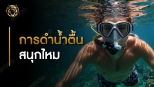 การดำน้ำตื้น สนุกไหม