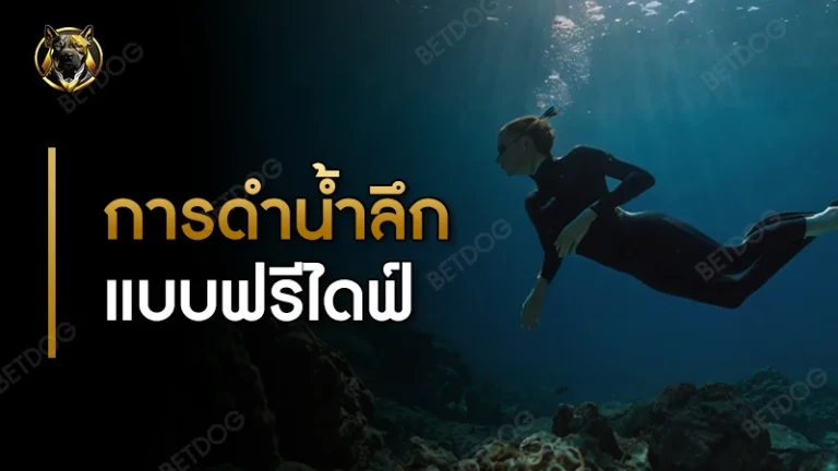 การดำน้ำลึกแบบฟรีไดฟ์ คืออะไร