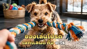 ของเล่นโปรด เลคแลนด์ คือ