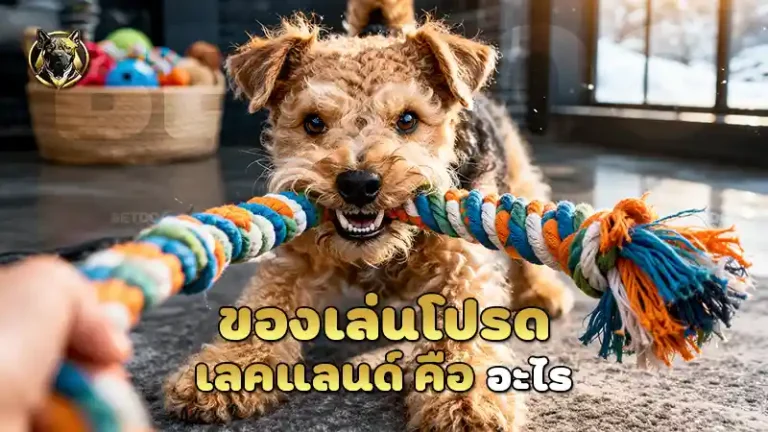 ของเล่นโปรด เลคแลนด์ คือ