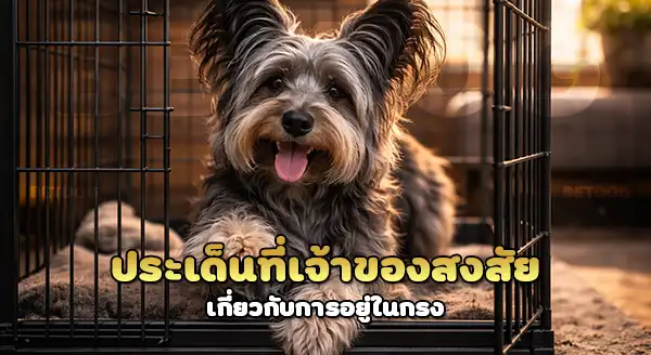 ทำไม สกายเทอร์เรียร์ ชอบอยู่ในกรง