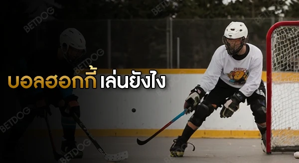 บอลฮอกกี้ เล่นยังไง