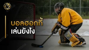 บอลฮอกกี้ เล่นยังไง