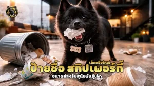 ป้ายชื่อ สกิปเพอร์กี้ เล็กหรือใหญ่