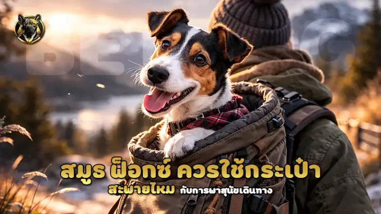 สมูธ ฟ็อกซ์ ควรใช้กระเป๋าสะพายไหม