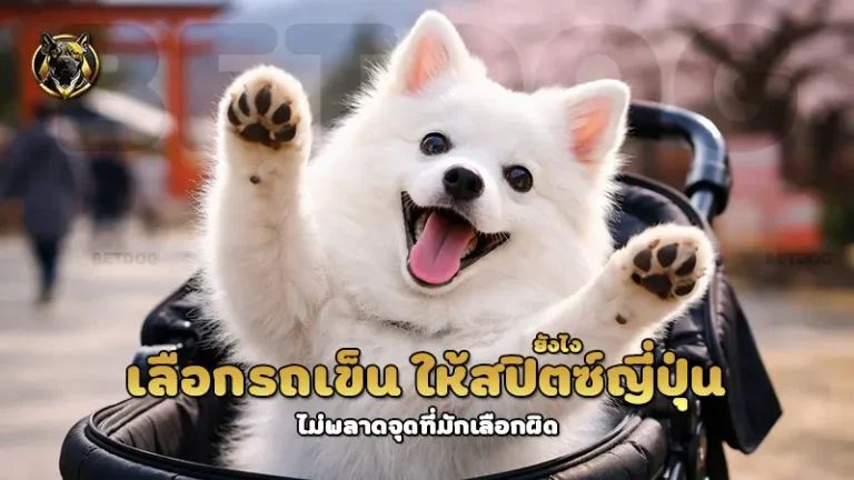 เลือกรถเข็น ให้สปิตซ์ญี่ปุ่น ยังไง