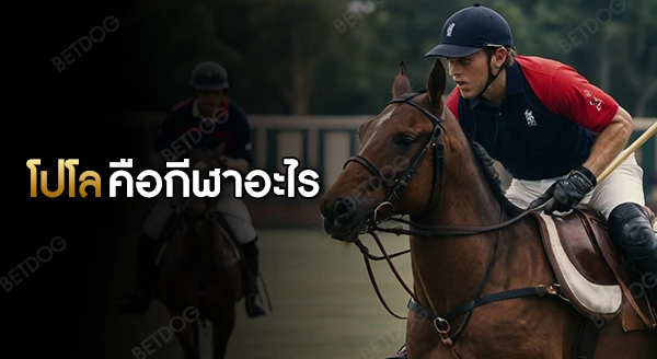 โปโล คือกีฬาประเภทใด