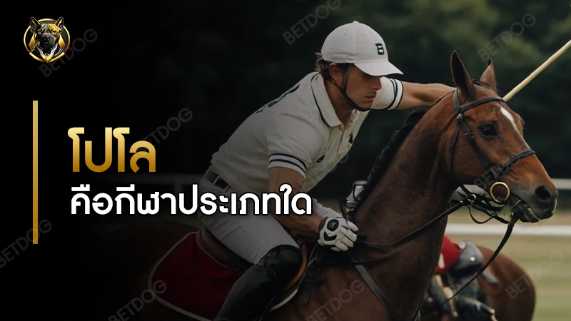 โปโล คือกีฬาประเภทใด