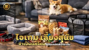 ไอเทม เลี้ยงสุนัข จำเป็นแค่ไหน