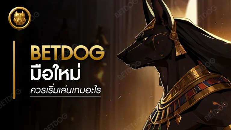 betdog มือใหม่ ควรเริ่มเล่นเกมอะไร