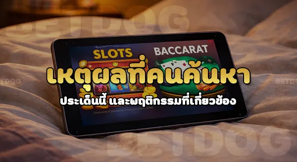 betdog เกมเหมาะกับมือใหม่