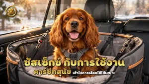ซัสเซ็กซ์ กับการใช้งาน คาร์ซีทสุนัข