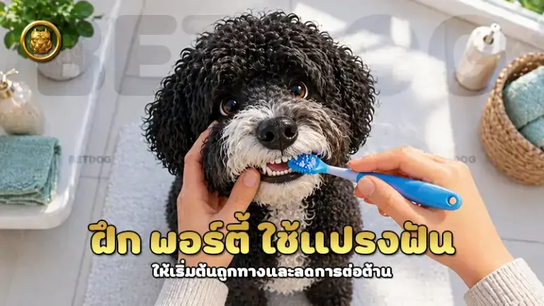 ฝึก พอร์ตี้ ใช้แปรงฟัน