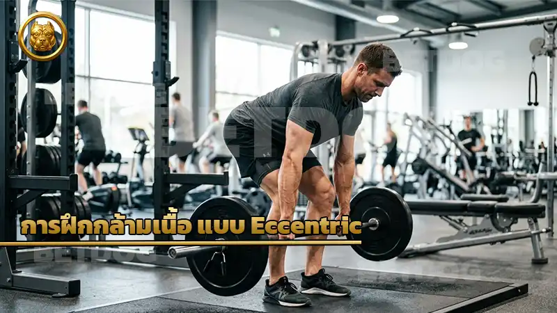 ฝึกกล้ามเนื้อ แบบ Eccentric