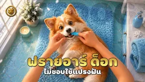 ฟรายอาร์ ด็อก ไม่ชอบใช้แปรงฟัน