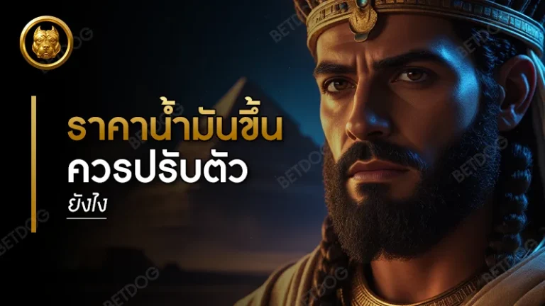 ราคาน้ำมันขึ้น ควรปรับตัวยังไง