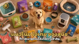 แนวโน้ม ไอเทม ของสุนัข