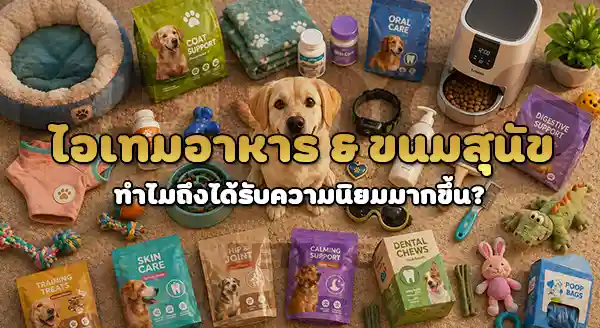 แนวโน้ม ไอเทม ของสุนัข