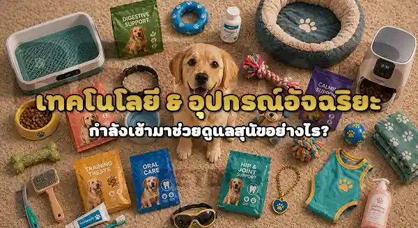 แนวโน้ม ไอเทม ของสุนัข
