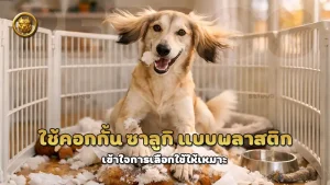 ใช้คอกกั้น ซาลูกิ แบบพลาสติก