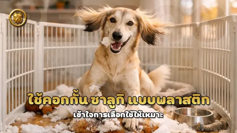 ใช้คอกกั้น ซาลูกิ แบบพลาสติก